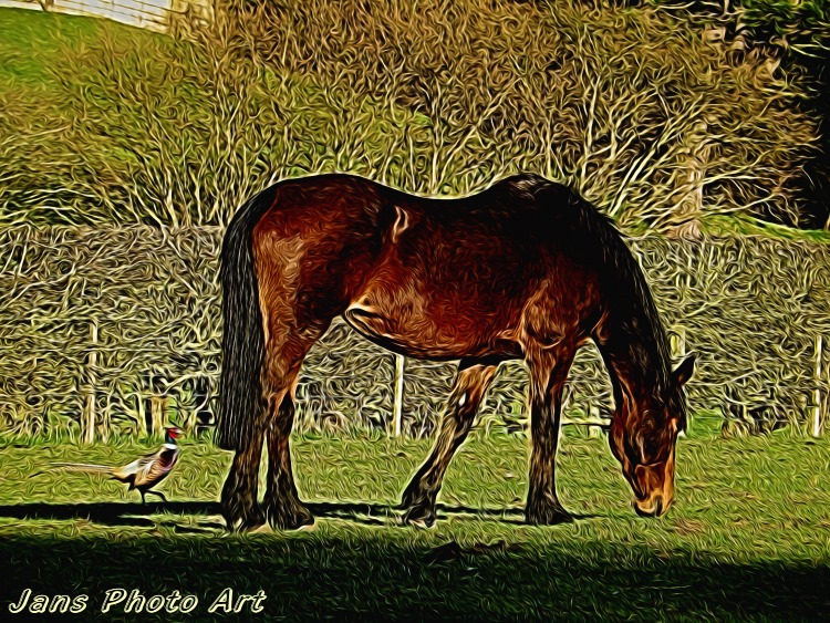 Horse and Pheasant
